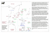 sta64 torres strait_thumb.gif